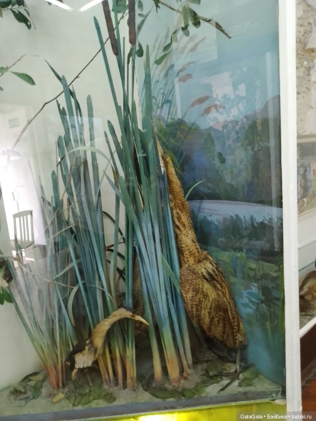 Маршрут выходного дня. Острогожск (фото 7)