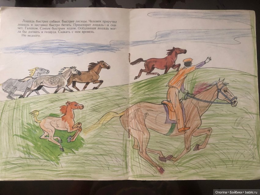 Альбомы для раскрашивания 80-х годов (фото 10)