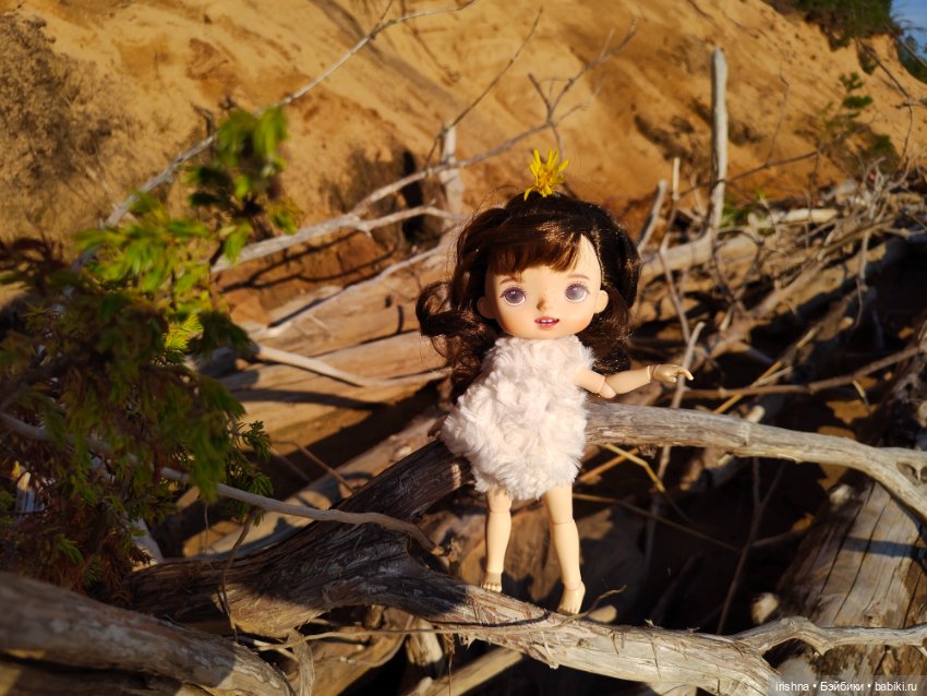 Монст Крузо — Разные шарнирные куклы (не БЖД): редкие (фото 6)