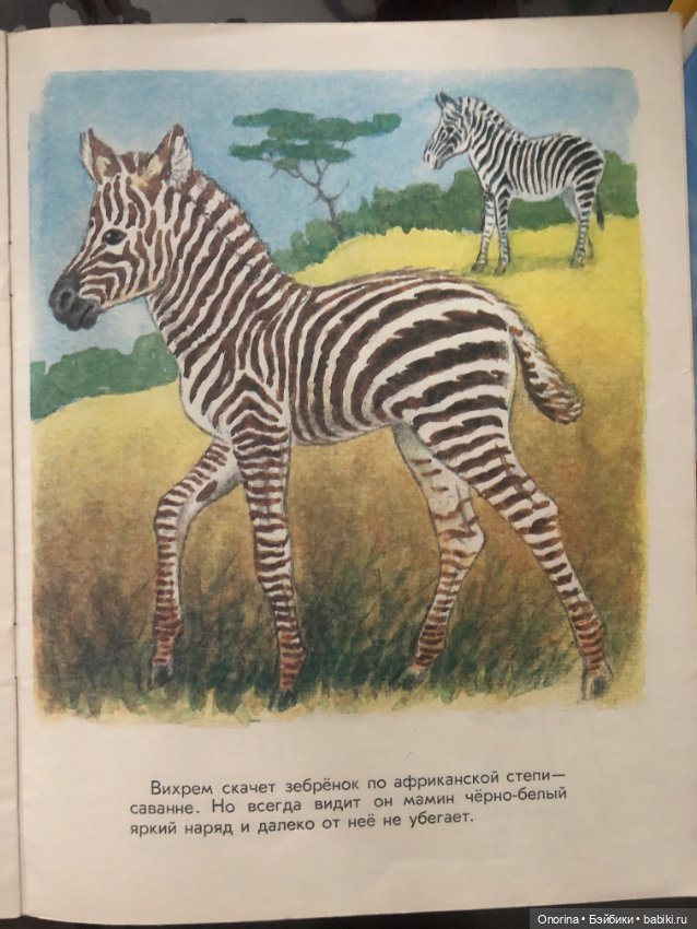 Альбомы для раскрашивания 80-х годов (фото 8)