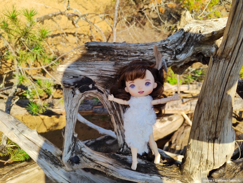 Монст Крузо — Разные шарнирные куклы (не БЖД): редкие (фото 3)