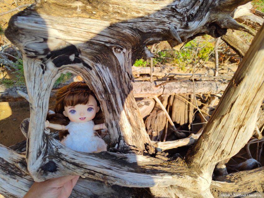 Монст Крузо — Разные шарнирные куклы (не БЖД): редкие (фото 4)