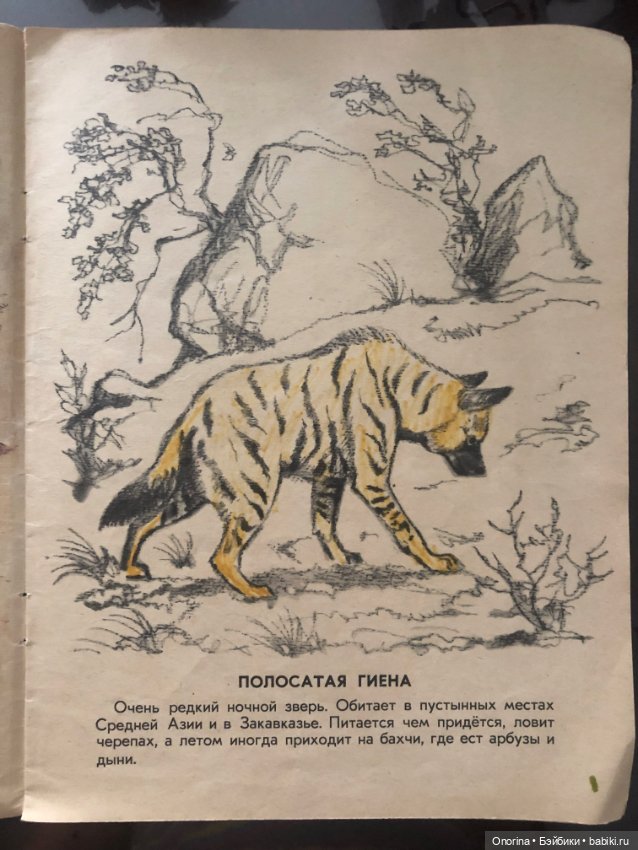 Альбомы для раскрашивания 80-х годов (фото 2)