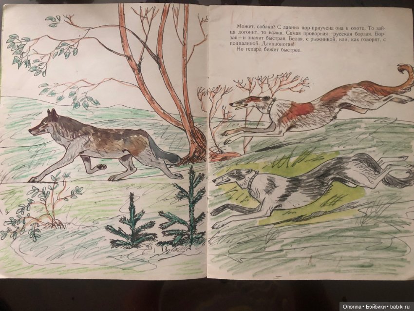 Альбомы для раскрашивания 80-х годов