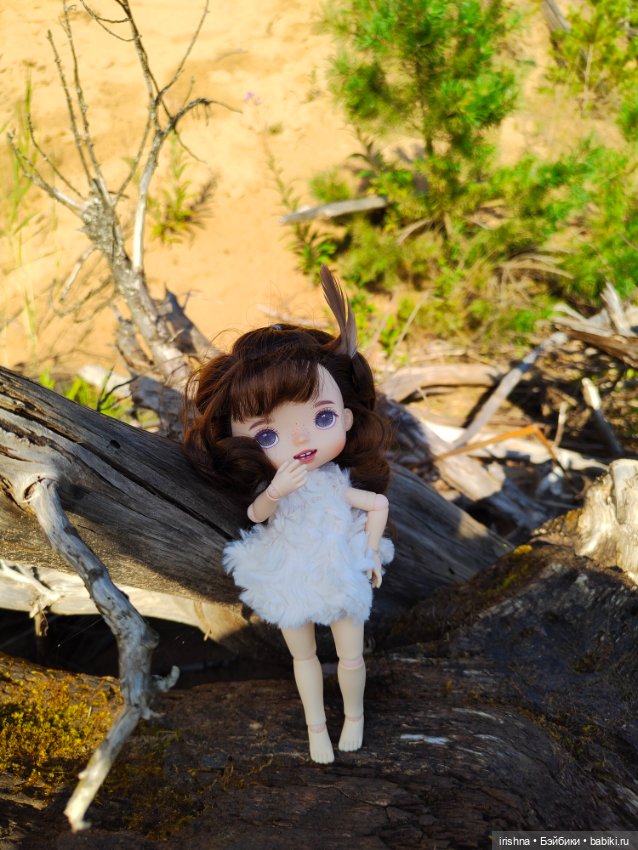 Монст Крузо — Разные шарнирные куклы (не БЖД): редкие (фото 5)