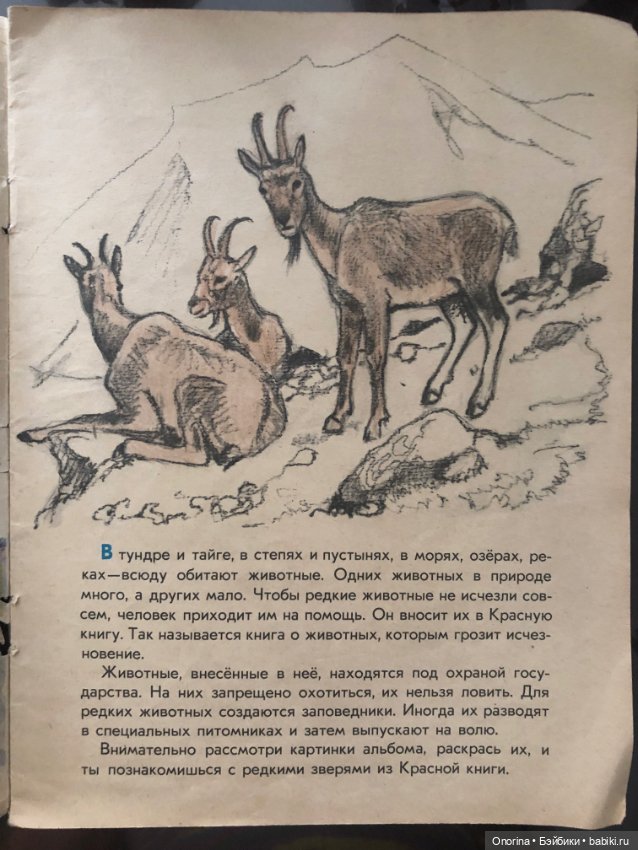 Альбомы для раскрашивания 80-х годов (фото 3)