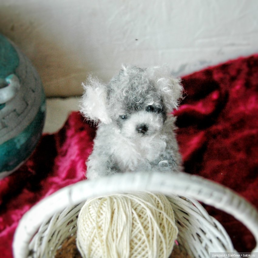 Затонировала и вот они мы (фото 6)