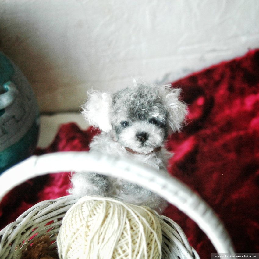 Затонировала и вот они мы (фото 3)