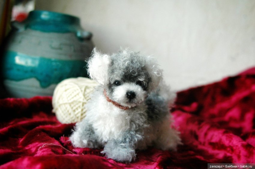 Затонировала и вот они мы