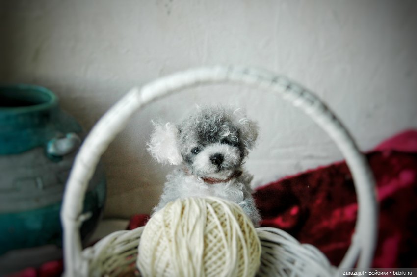 Затонировала и вот они мы (фото 5)