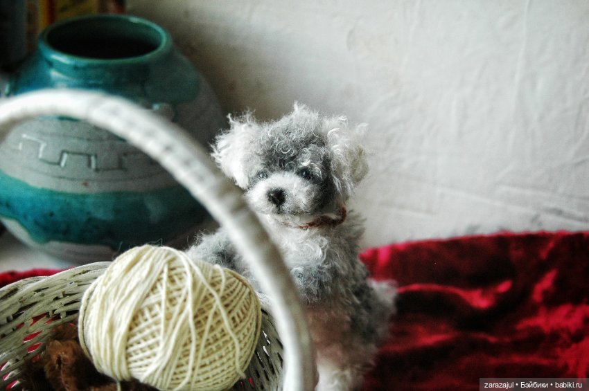 Затонировала и вот они мы (фото 4)