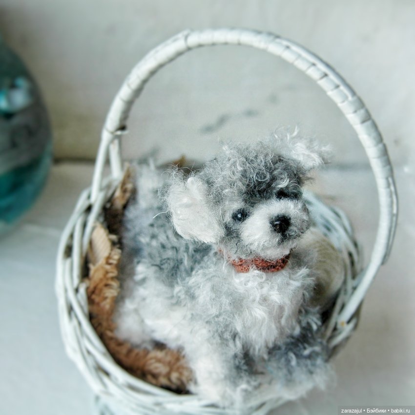 Затонировала и вот они мы (фото 9)