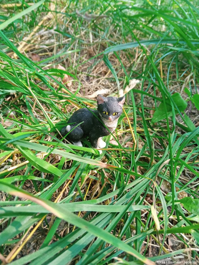 Фотозарисовка из жизни охотника