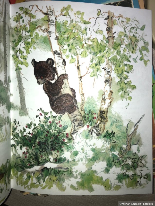 Книги моего детства — Культура