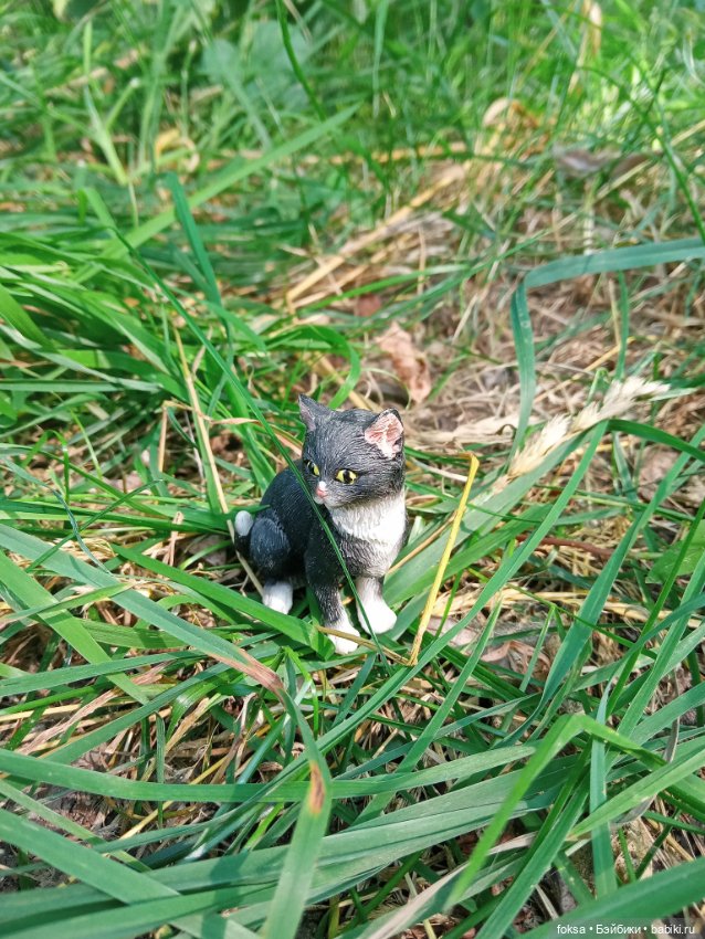 Фотозарисовка из жизни охотника