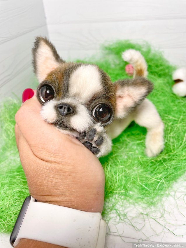 Малышка Лулу🐾🐶 — Реалистичные игрушки и звери (Натюр): собаки
