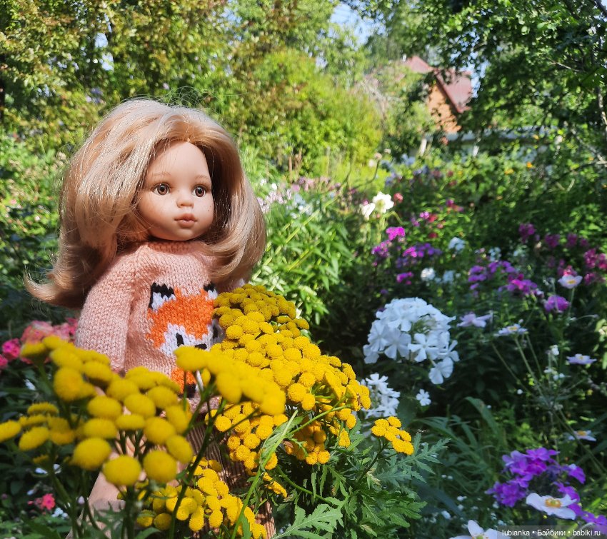 Немного солнечно-рыжего сегодня