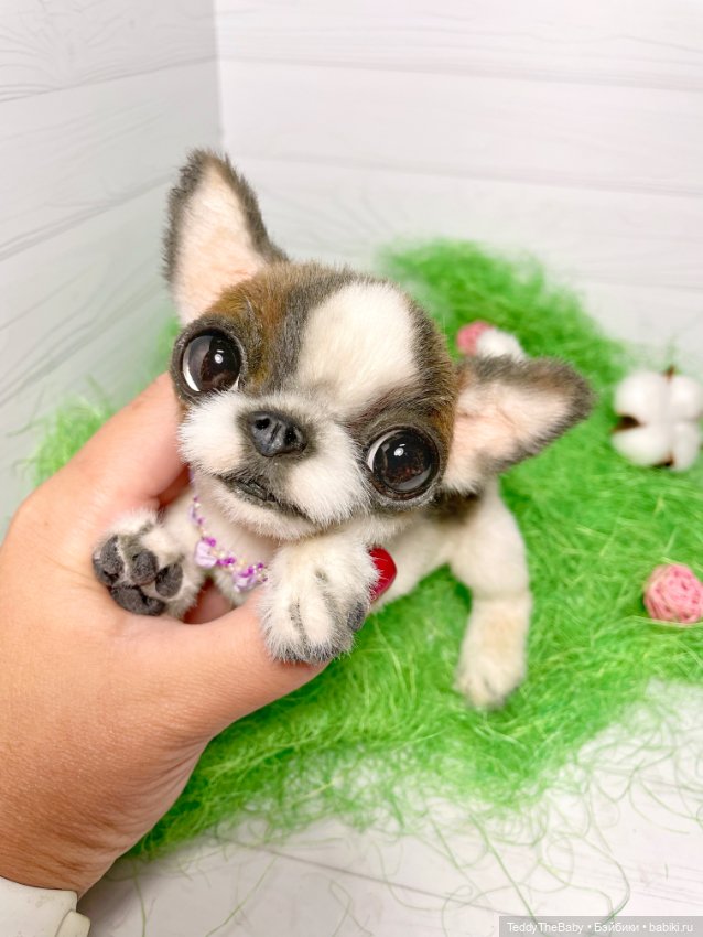Малышка Лулу🐾🐶 — Реалистичные игрушки и звери (Натюр): собаки (фото 8)