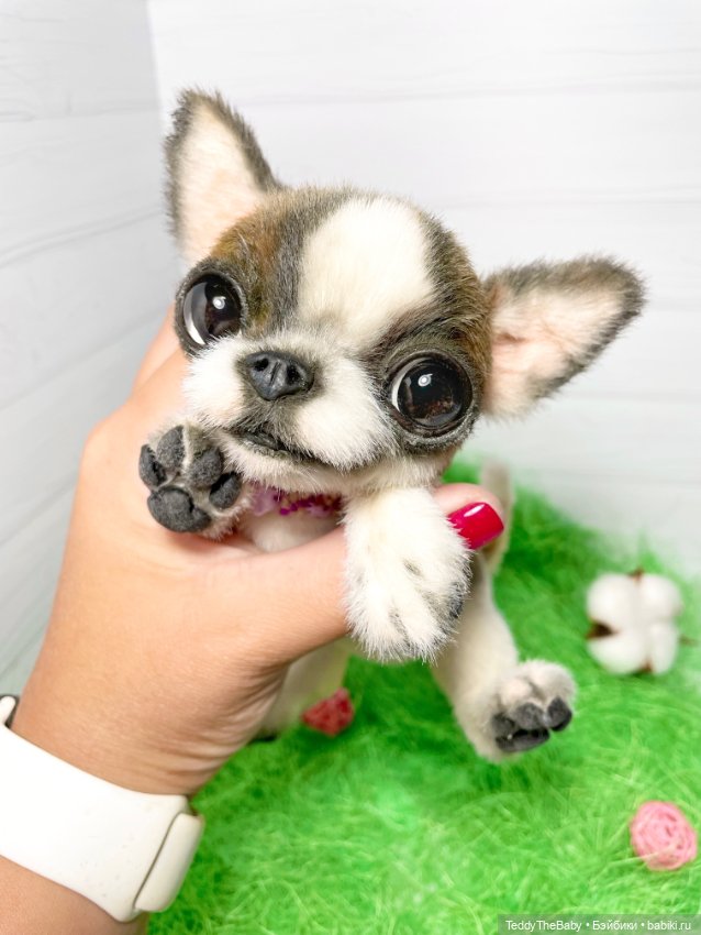 Малышка Лулу🐾🐶 — Реалистичные игрушки и звери (Натюр): собаки (фото 6)