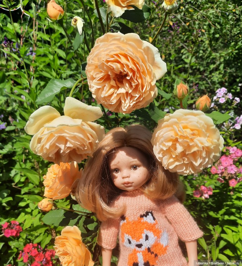 Немного солнечно-рыжего сегодня