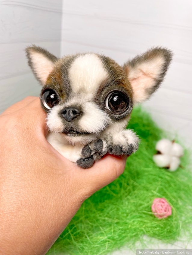 Малышка Лулу🐾🐶 — Реалистичные игрушки и звери (Натюр): собаки (фото 5)