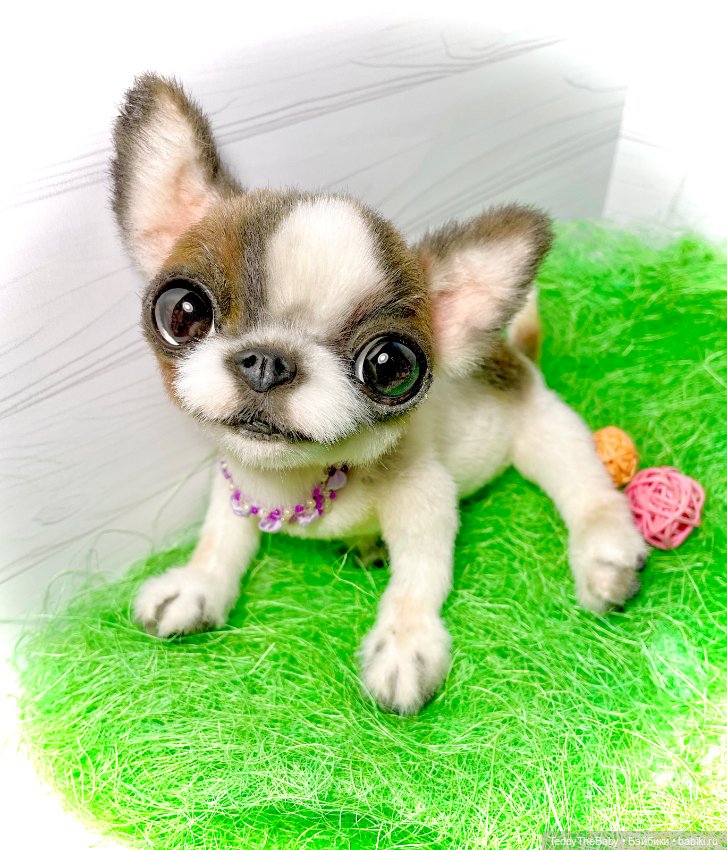 Малышка Лулу🐾🐶 — Реалистичные игрушки и звери (Натюр): собаки