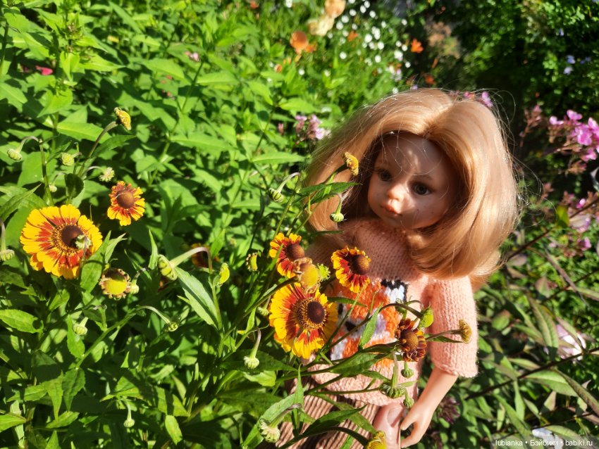 Немного солнечно-рыжего сегодня (фото 6)