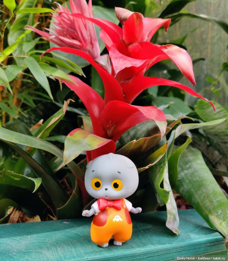 Цветочный джем — Домашние коллекции кукол: фото собраний (фото 9)