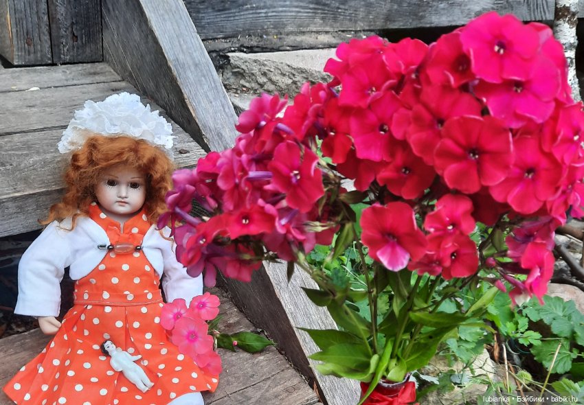 Next orange-red — Редкие антикварные куклы и реплики: воск