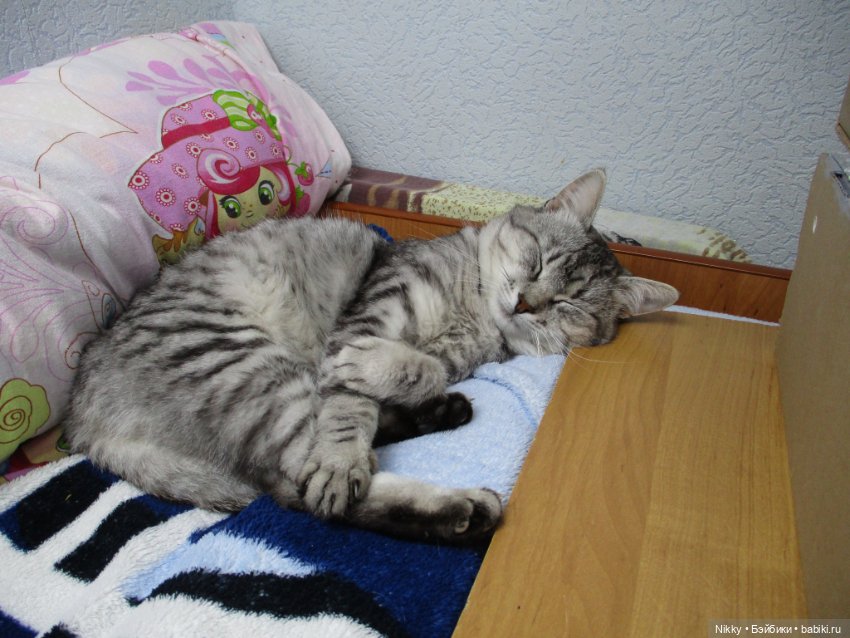 Фото-история "Распаковка" или книжки и канцелярия для кукол 16 см