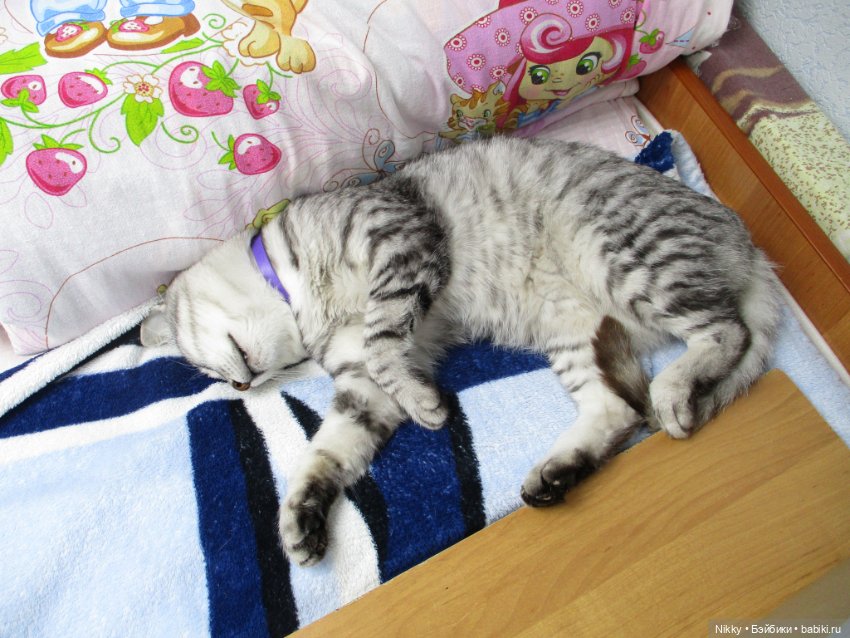 Фото-история "Распаковка" или книжки и канцелярия для кукол 16 см