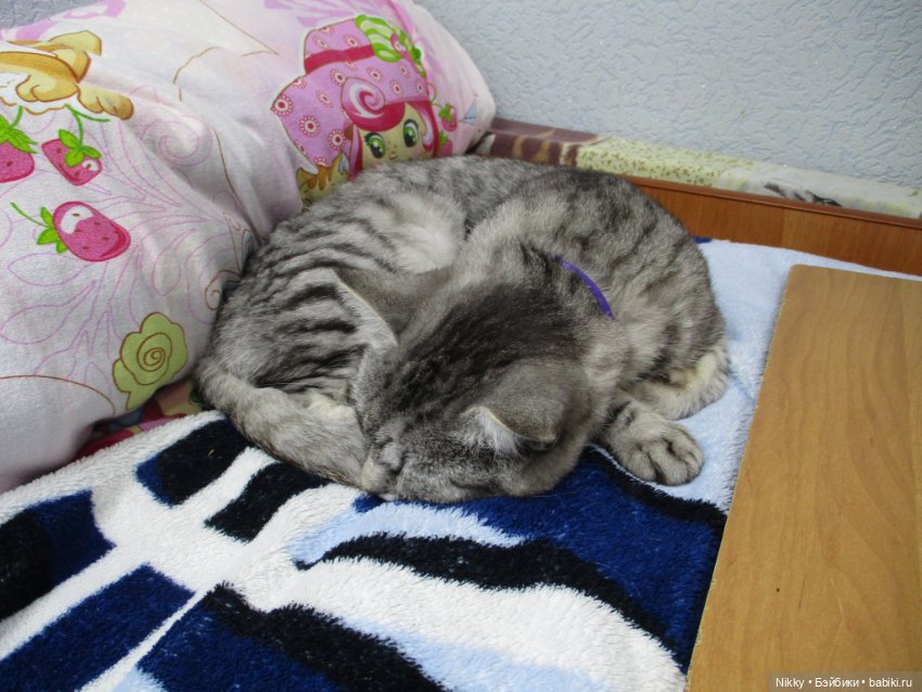 Фото-история "Распаковка" или книжки и канцелярия для кукол 16 см