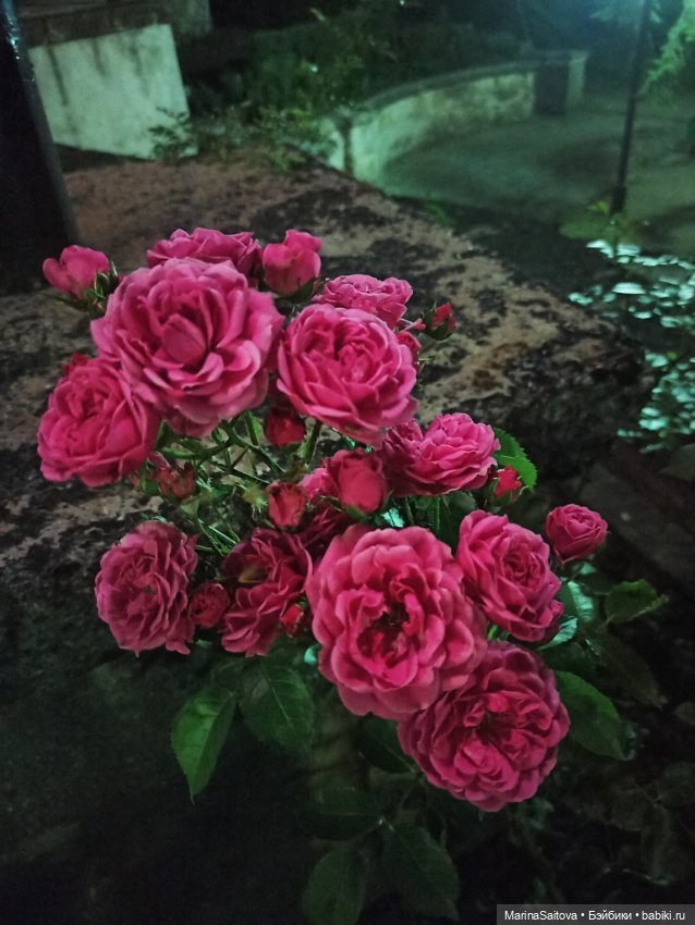 Санаторий им. Горького. Кисловодск