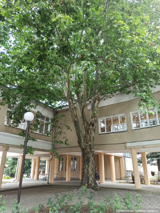 Санаторий им. Горького. Кисловодск (фото 2)