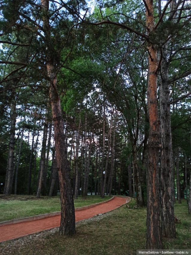 Санаторий им. Горького. Кисловодск