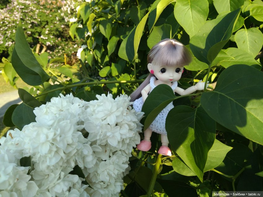 Когда цвела сирень — Куклы Barbie (Барби): Looks