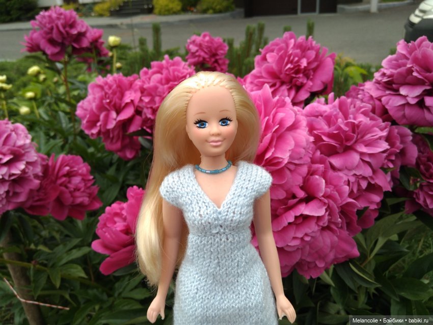 Дианы в голубом — Аналоги Барби и куклы 1/6: клоны 90