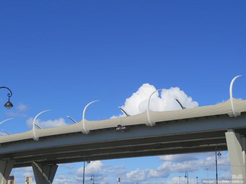 Девушка из линейки Get Real Girls (фото 9)