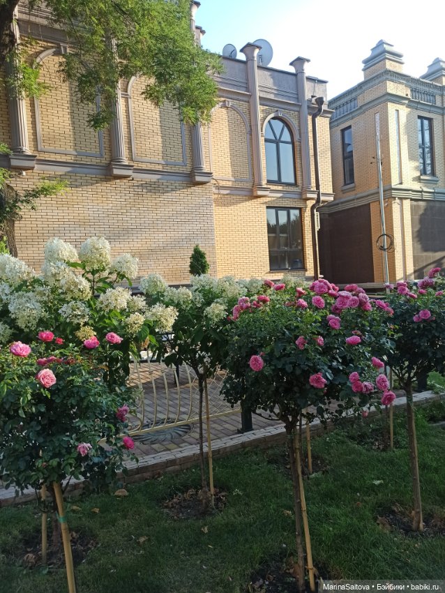 Ах, Кисловодск, любовь моя