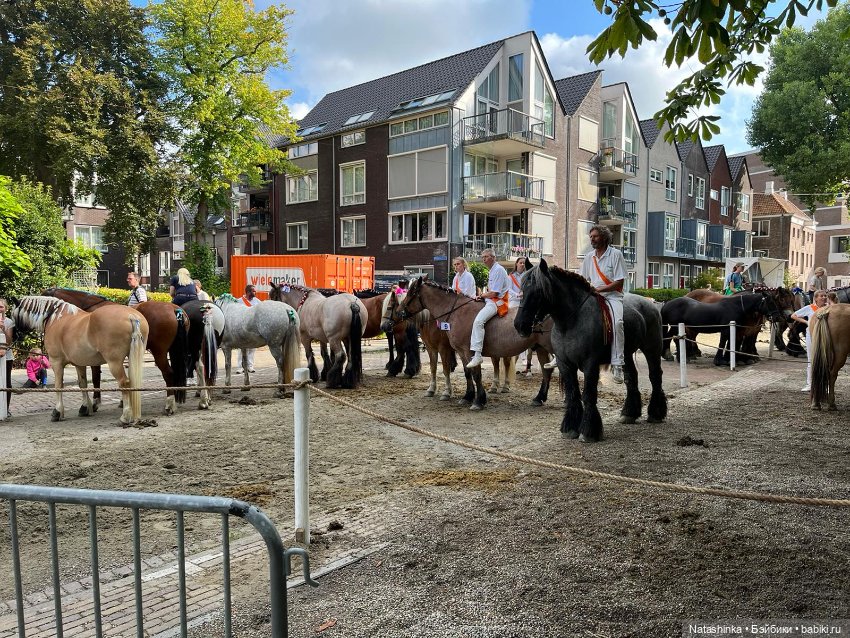 Fashion Dolls 408 — Туризм и путешествия: фотоотчеты из поездок (фото 2)