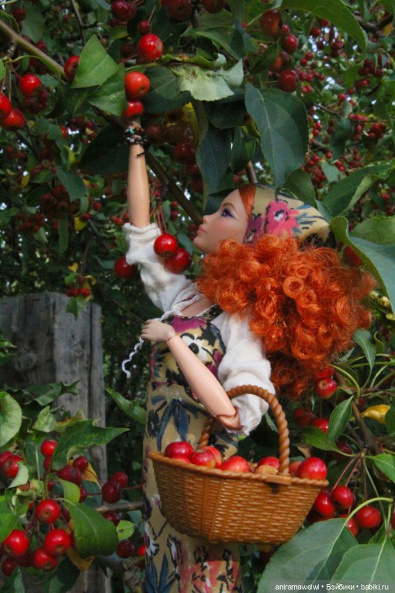 В яблоневом саду — Куклы Barbie (Барби): Looks (фото 5)