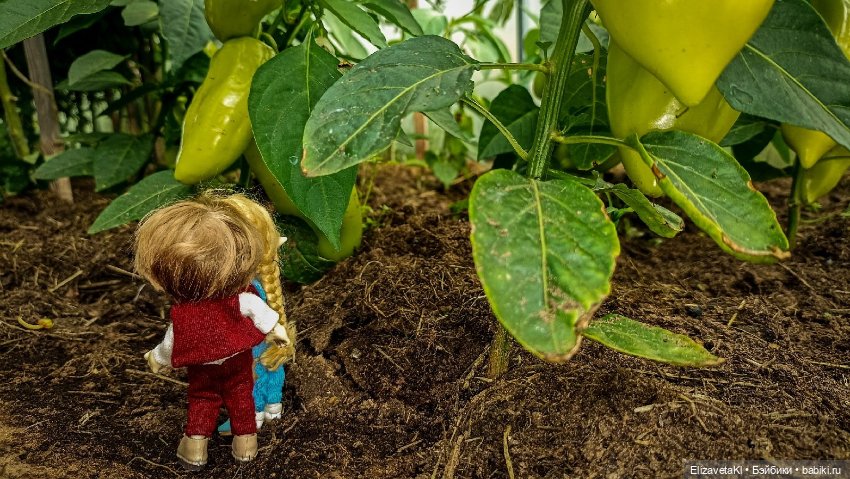 Как появляются дети? Realpuki. 176 (фото 2)