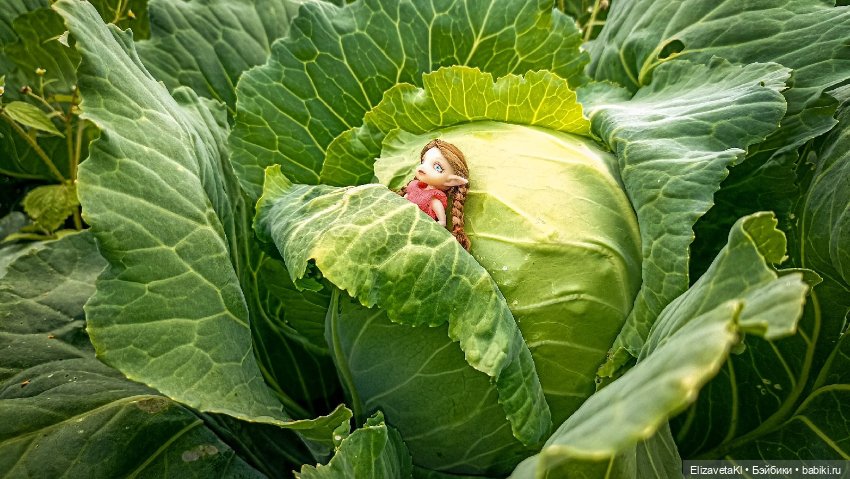 Как появляются дети? Realpuki. 176 (фото 6)