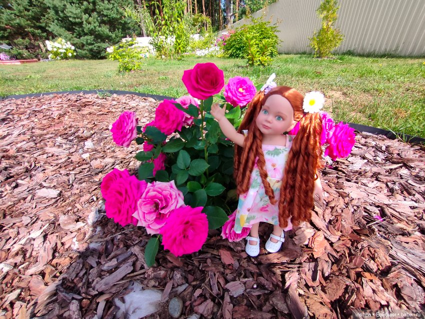 Ромашка в саду. Вторая часть (фото 5)