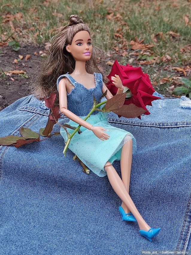 Добро пожаловать, Айрис — Аналоги Барби и куклы 1/6: клоны 90 (фото 5)