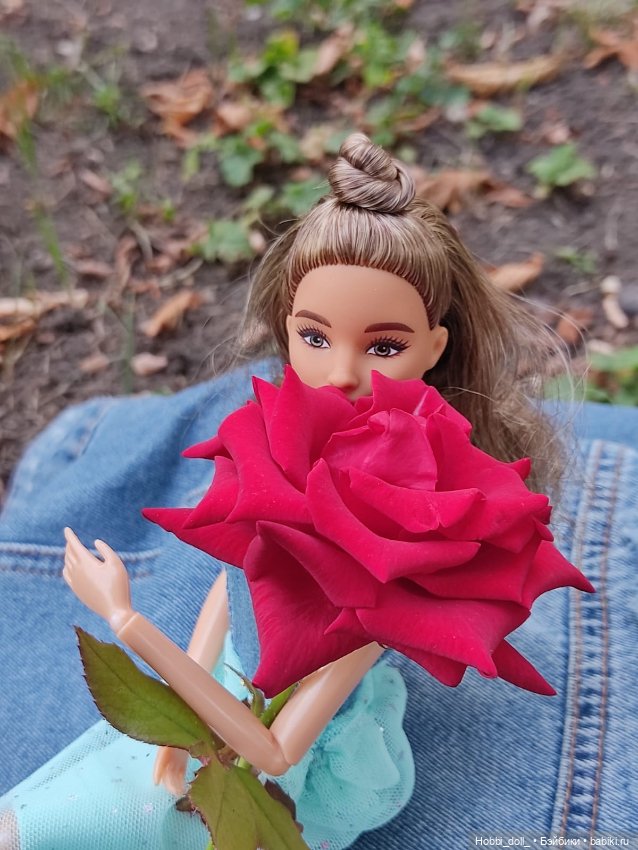 Добро пожаловать, Айрис — Аналоги Барби и куклы 1/6: клоны 90 (фото 2)