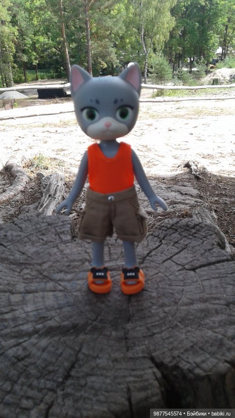 Отдых на турбазе. Кошечка Белла (фото 6)