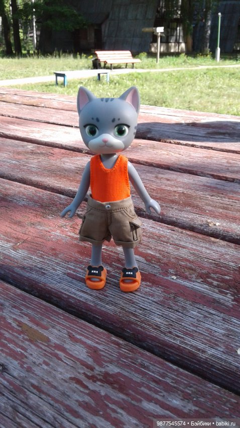 Отдых на турбазе. Кошечка Белла (фото 4)