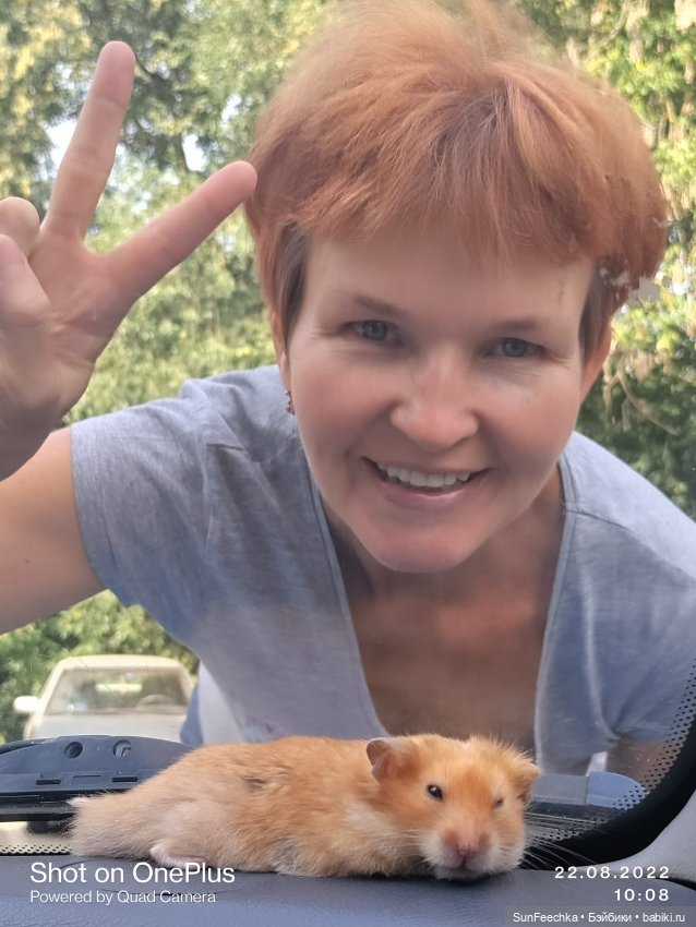 А у вас есть дома хомяк — В мире животных: смешные фото питомцев и зверей (фото 8)
