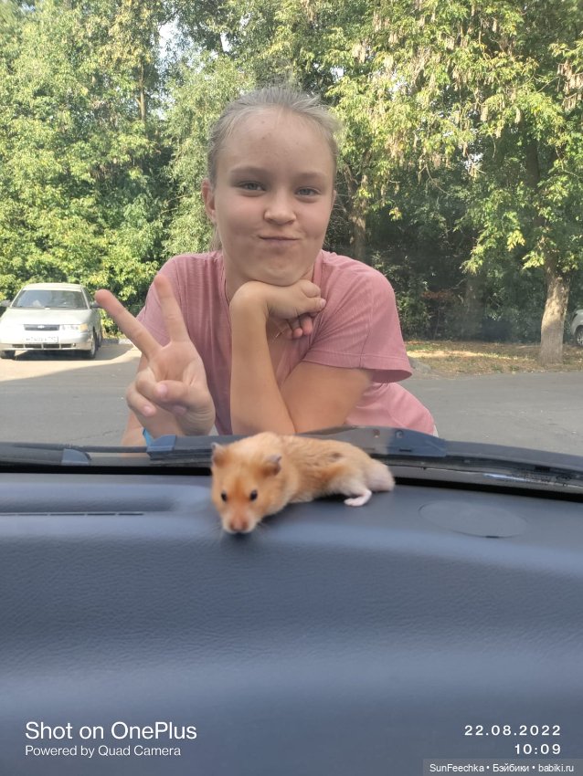 А у вас есть дома хомяк — В мире животных: смешные фото питомцев и зверей (фото 10)